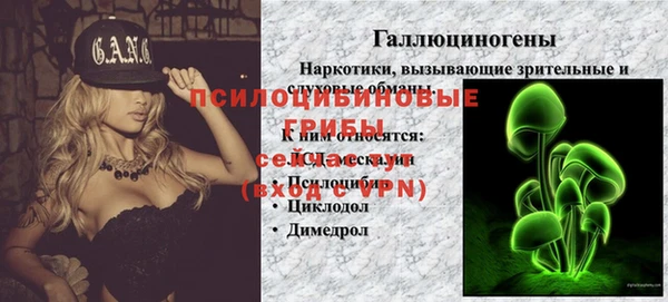 винт Елизово